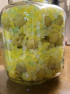 母が作った『梅の砂糖漬け』に絶賛の声　方法に「その手があったか！」「発想が最高」