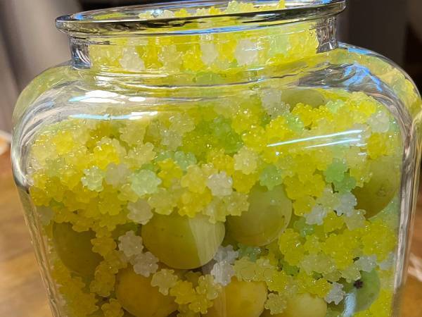 母が作った『梅の砂糖漬け』に絶賛の声　方法に「その手があったか！」「発想が最高」