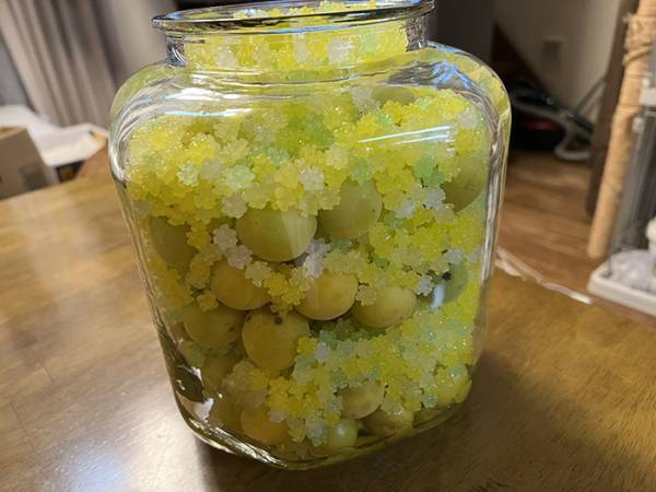 母が作った『梅の砂糖漬け』に絶賛の声　方法に「その手があったか！」「発想が最高」