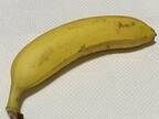 バナナを日持ちさせる保存方法に「これよさそう」　向きを変えるだけで…？