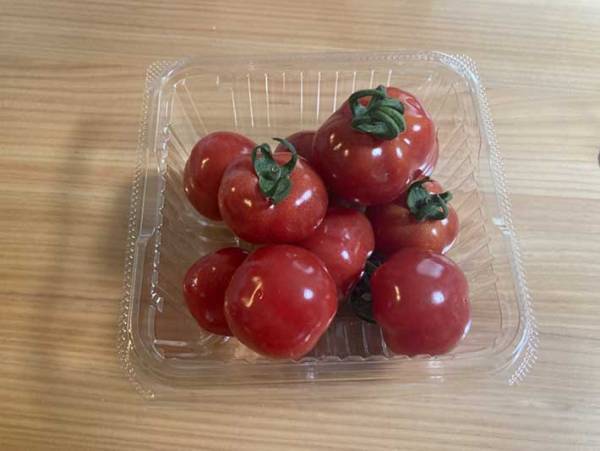 「知らなかった」「試してみたい」　夏に旬を迎えるトマトを長く楽しむワザ
