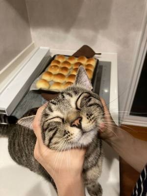 『至福の時間』が凝縮された１枚　パンを焼いた後の写真に「いい表情」