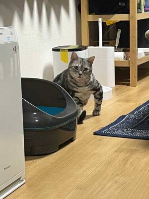 「笑いすぎて酸欠になった」　普段の姿からは想像できない『筋肉』に、飼い主が二度見