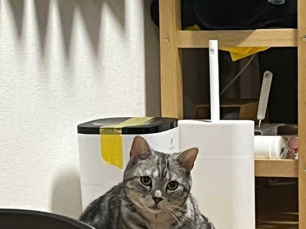 「笑いすぎて酸欠になった」　普段の姿からは想像できない『筋肉』に、飼い主が二度見