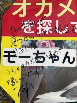 迷子だった鳥が見つかった！『捜索の貼り紙』を回収しに行ったら、何か書いてあって？