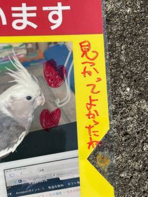 迷子だった鳥が見つかった！『捜索の貼り紙』を回収しに行ったら、何か書いてあって？