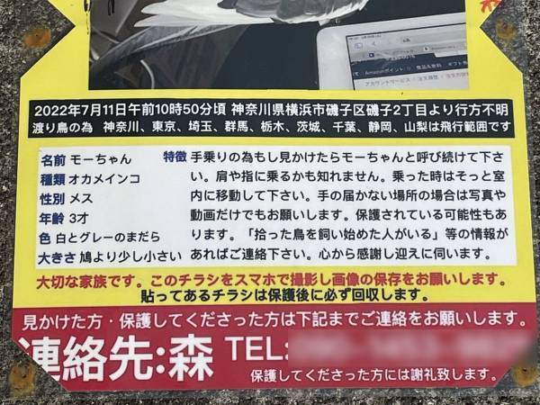 迷子だった鳥が見つかった！『捜索の貼り紙』を回収しに行ったら、何か書いてあって？