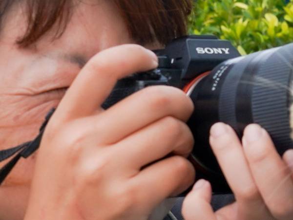 旅先で猫を撮影している女性　その『裏側』に反響集まる　「やばい…！」「最高の写真」