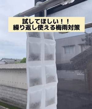 クローゼットの湿気　わずか１１０円の画期的対策に「頭になかった」