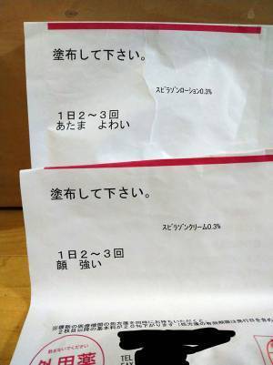 何度見ても笑ってしまう！　『あたま よわい』に続く言葉に「ジワる」「残念な美人…ってこと！？」
