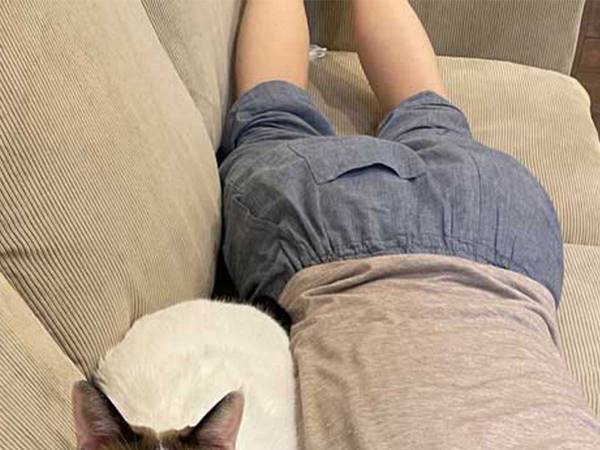 スキマを埋めるのが得意な猫に「まるでテトリス」「ぴったりフィット」