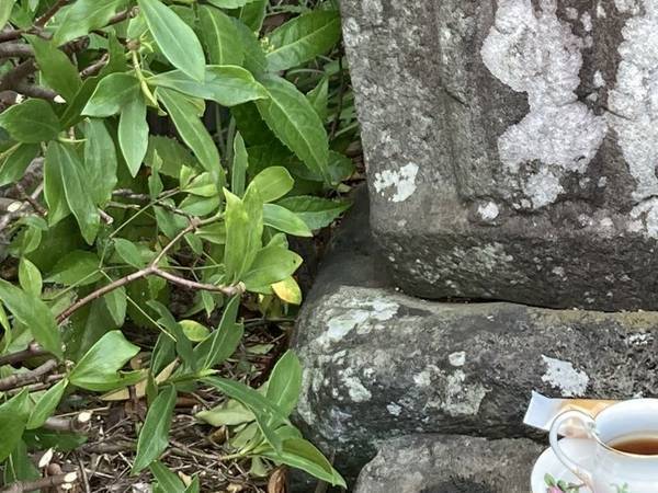 ケーキ店の近くにある石像　『お供え物』の優雅さに「よすぎる」「よその石仏もうらやむ待遇」