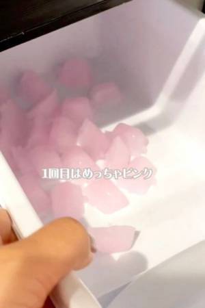 見落としがちな製氷機の掃除　便利な１００均グッズに「こんなのあったの？」