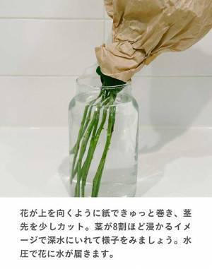 しおれたバラが３時間で復活　生花店の教える『簡単ワザ」とは　「すごい」「コレは覚えておきたい」