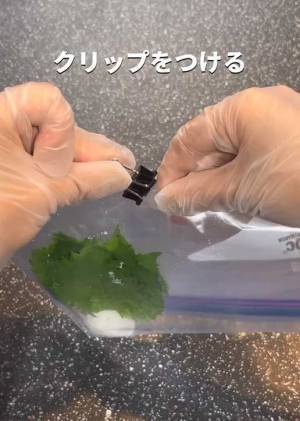 青じそは冷蔵庫の『あそこ』に吊り下げる　お手軽な保存術に「これいいね」「試してみる」