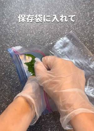 青じそは冷蔵庫の『あそこ』に吊り下げる　お手軽な保存術に「これいいね」「試してみる」