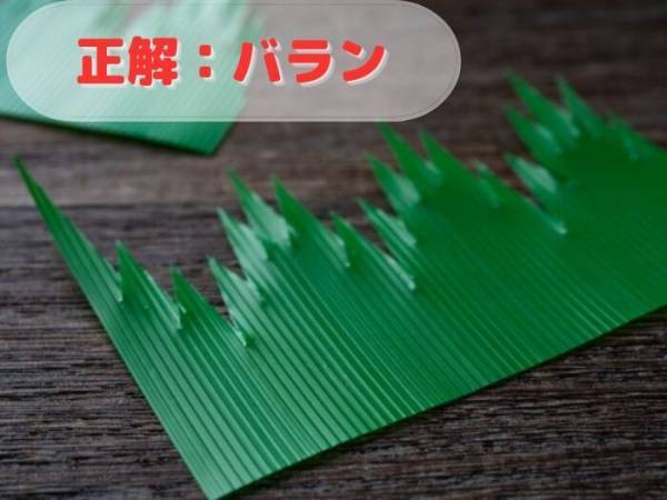 【クイズ】この緑色の物体、正式名称は何？