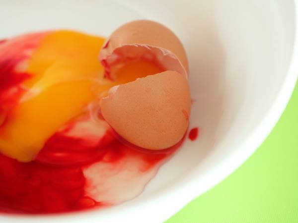 卵を割ったら中から血が！　原因と対処法に「知らなかった！」「そんなのがあるんだ」