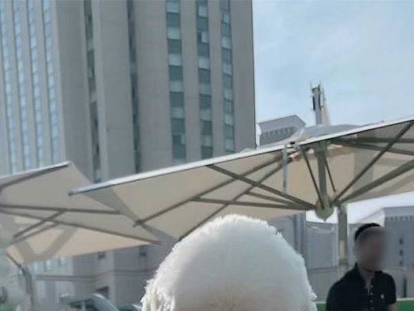 「ストレスがぶっ飛ぶ」と話題の犬の写真をご覧ください