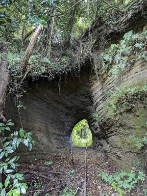 おばあさんに『警告』をされた男性　展開に「生活の知恵だ」「かっけえ…」