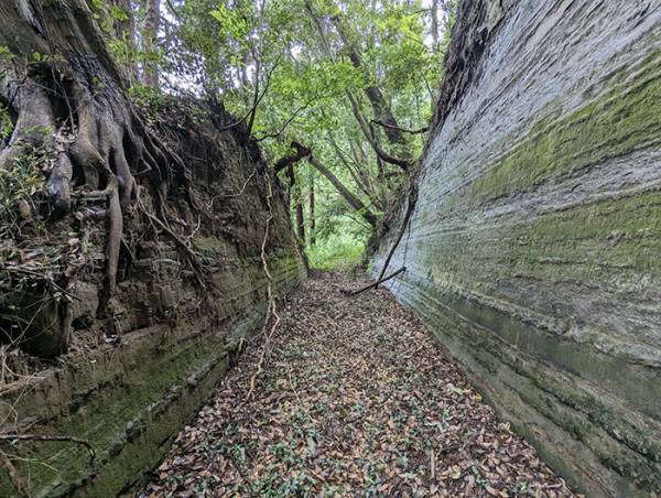 おばあさんに『警告』をされた男性　展開に「生活の知恵だ」「かっけえ…」