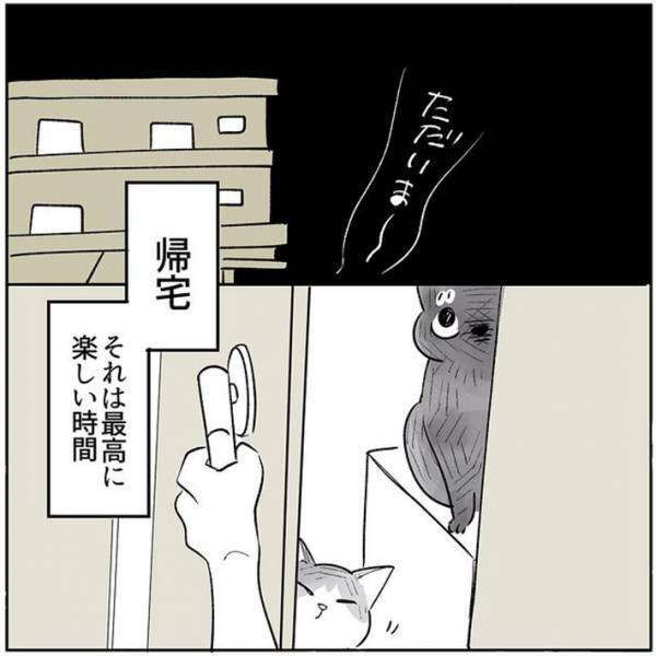 帰宅時に出迎えてくれる愛猫たち　ある日、１匹の姿が見当たらなくて？