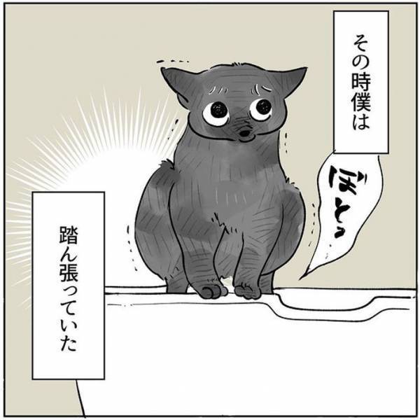 帰宅時に出迎えてくれる愛猫たち　ある日、１匹の姿が見当たらなくて？