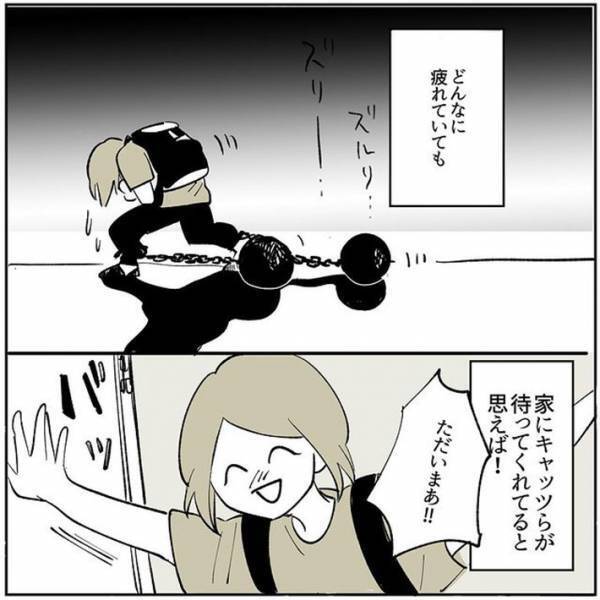 帰宅時に出迎えてくれる愛猫たち　ある日、１匹の姿が見当たらなくて？