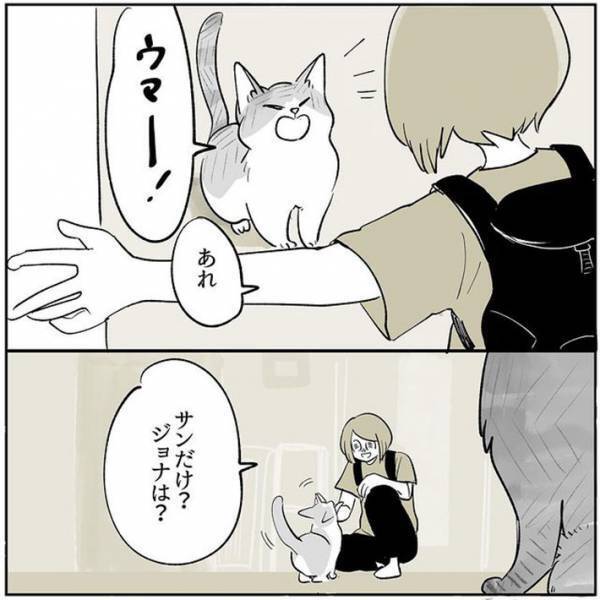 帰宅時に出迎えてくれる愛猫たち　ある日、１匹の姿が見当たらなくて？