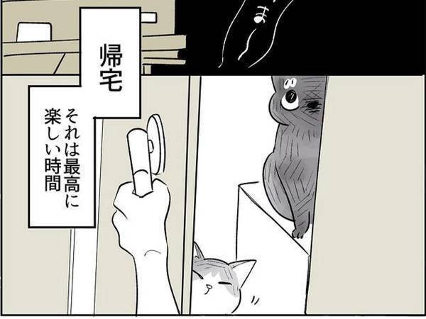 帰宅時に出迎えてくれる愛猫たち　ある日、１匹の姿が見当たらなくて？