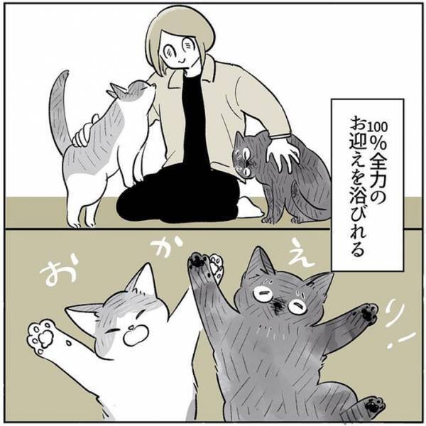 帰宅時に出迎えてくれる愛猫たち　ある日、１匹の姿が見当たらなくて？