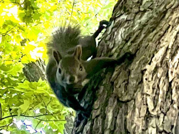山の所有者がブチ切れ！　「ここは俺ん地だぞ」　山で目撃したものとは…