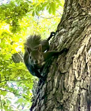山の所有者がブチ切れ！　「ここは俺ん地だぞ」　山で目撃したものとは…