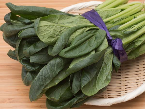 その小松菜捨てないで！　一見怖い『黒い斑点』に「知らなかった！」「マジか」