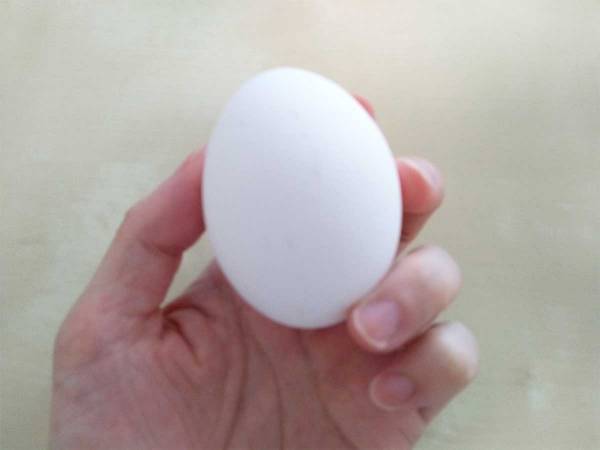 １日に食べていい『卵の数』　まさかの正解に「そうだったの！？」「話が違う」