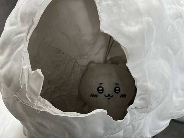 『ちいかわ』のぬいぐるみが見つかった場所に「二度見した」「俺のココもこうなってそう」