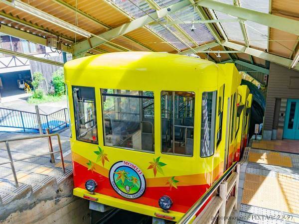 車掌の肩にとまった『虫』に興奮する人続出　高尾登山電鉄の投稿に「コレはすごい」「キッズの憧れ」