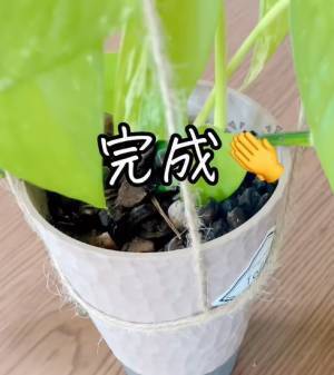 家に余っている麻ひも　便利な活用法に「意外と頑丈」「真似したい」