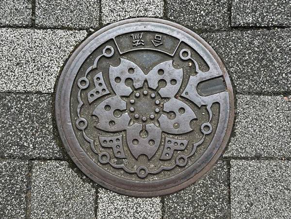 デザインが怖くて「泣いちゃった」　路上で見つけた『鉄蓋』を、よくご覧ください