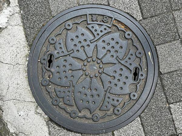 デザインが怖くて「泣いちゃった」　路上で見つけた『鉄蓋』を、よくご覧ください