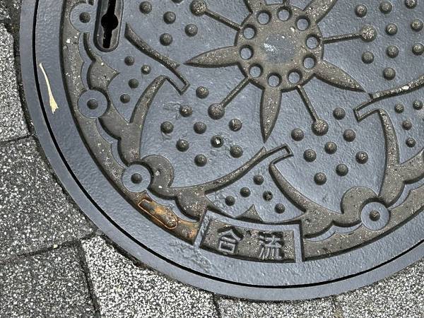 デザインが怖くて「泣いちゃった」　路上で見つけた『鉄蓋』を、よくご覧ください