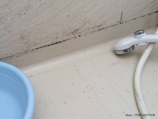 カビが発生しやすい浴室　入浴後に『あること』をするだけで？