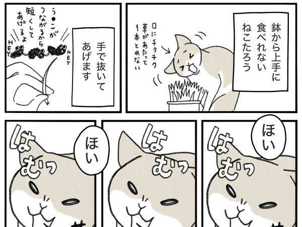 あまりにも『猫草』が好きすぎる猫　全国の猫飼い「マジでこれ！」「本当笑う」
