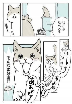 あまりにも『猫草』が好きすぎる猫　全国の猫飼い「マジでこれ！」「本当笑う」