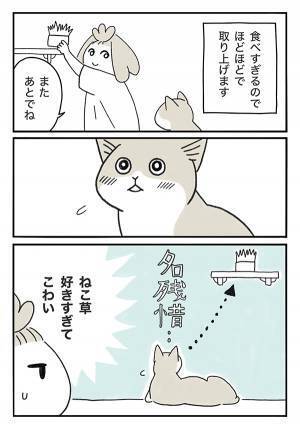 あまりにも『猫草』が好きすぎる猫　全国の猫飼い「マジでこれ！」「本当笑う」