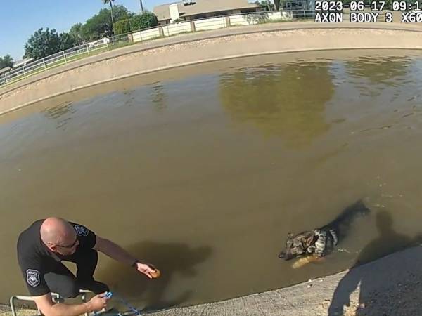 運河に落ちた犬を助けるために　警官が捧げた『あるもの』に称賛の声