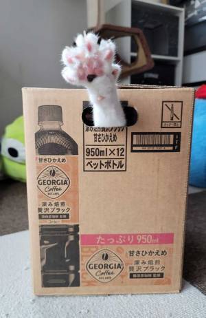 『封印されし甘さひかえめ』　箱の中にいたのは？