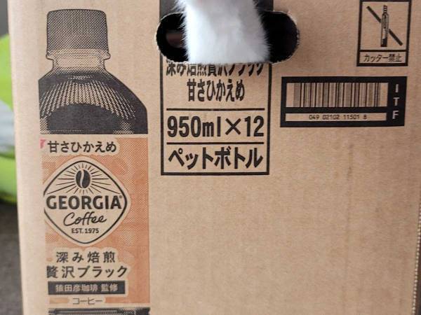 『封印されし甘さひかえめ』　箱の中にいたのは？