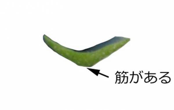 ニラとそっくりだけど…？　まさかの正体に「怖すぎる」「間違えてしまいそう」