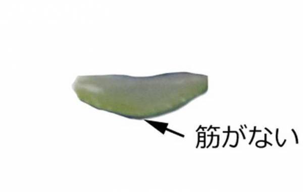 ニラとそっくりだけど…？　まさかの正体に「怖すぎる」「間違えてしまいそう」